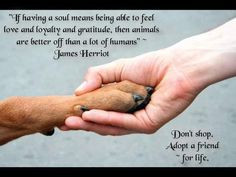 If having a soul means being able to feel love and loyalty and ...