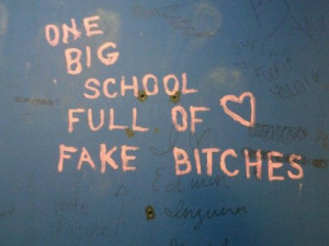 One big school full of fake bitches quotes quote girl girl quotes