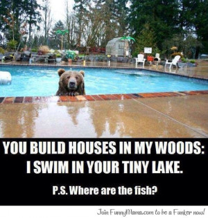 Bear has a point...