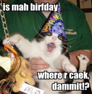 Cats Birthday Parties