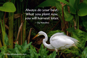 Sayings, Quotes: Og Mandino