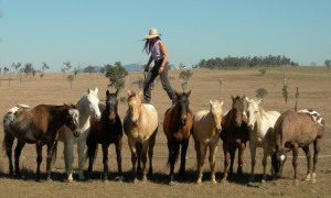 Michelle Dennis walking on her bridleless horses.