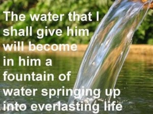 nature quotes nature quote flower quotes water quotes nature