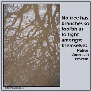 No tree .....
