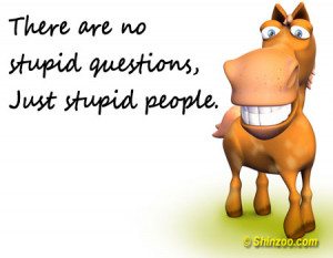 There are no stupid questions, just stupid people.”