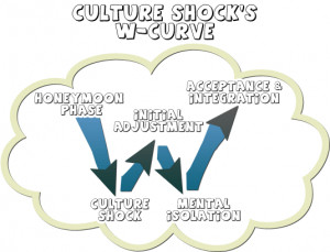 you probably experienced culture shock i can explain that culture ...