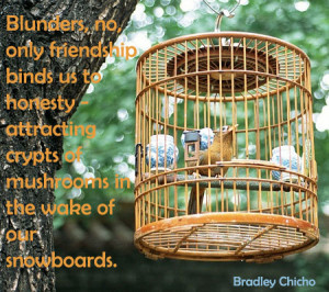 Tags » Friendship Quotes 114 views Download this pic Added 1 year ago