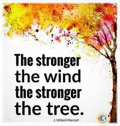 The stronger the wind the stronger the tree...J. Willard Marriott