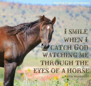 ... when I catch God watching me through the eyes of a Horse... Quote