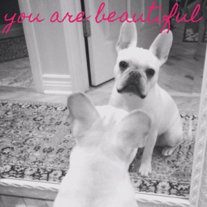 Quote: you are beautiful! French Bulldog