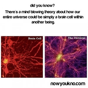 Iphone Mind Blowing Omg Quotes