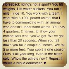 horse quotes/sayings