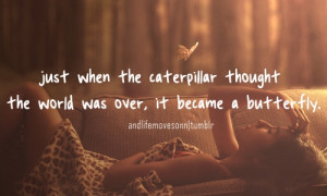 ... the caterpillar thought the world was over, it became a butterfly