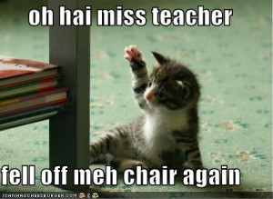 funny_pictures_kitten_fell_off_chair_Funny_cats_and_dogs_pics-s450x329 ...