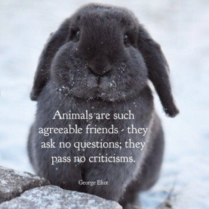 Famous People Quotes • Pet Quotes
