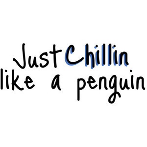 Tumblr quote cute penguin, adorable, love