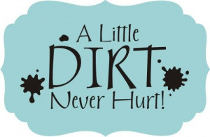 Great quote for the fun laundry room. A Little Dirt Never Hurt wall ...