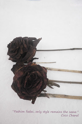 Posted 20th May 2010 by Missey Lee