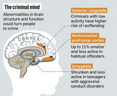 Science maps the antisocial brain More