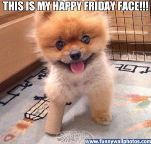 Happy Puppy says Happy Friday!