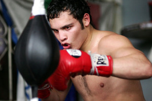 images of boxing news photos julio cesar chavez jr workout wallpaper