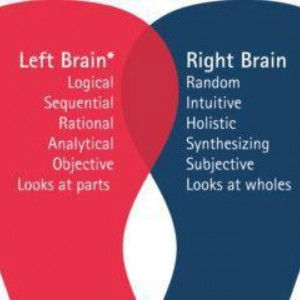 Left Brain Quotes Right brain / left brain. via christine o'grady