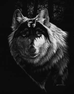 DRAGON WOLF by SMorrisonArt