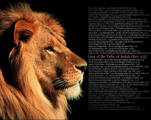 The Lion Of Judah With Scripture HD Wallpaper | Christian Wallpapers