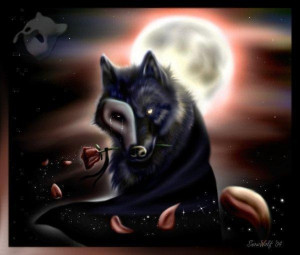 Dark Wolf by jaysonboat