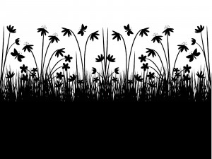 Simple Black Flowers Twitter Backgrounds