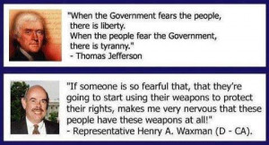 Guns and Gun Control 101 For Dummies (41 pics for easy understanding)