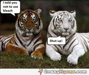 Funny Tiger Quotes