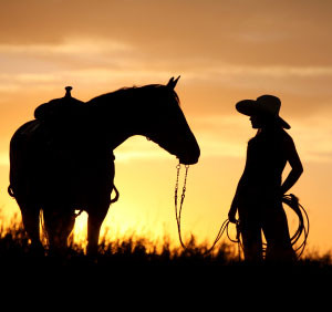 Tagged: country western cowgirl cowgirls horse horses sunset
