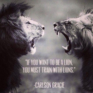 if you want to be a lion you must train with lions carlson gracie pic ...