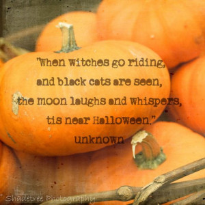 tis near halloween and i love it # halloween # poetry # quotes