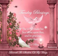 Tuesday Blessing More