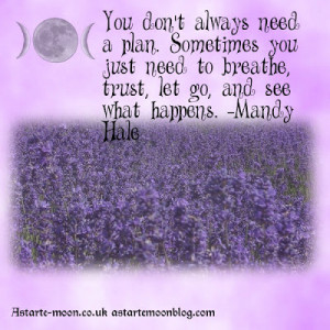 You don't always need a plan.Mandy Hale. Positive Inspiration Quote