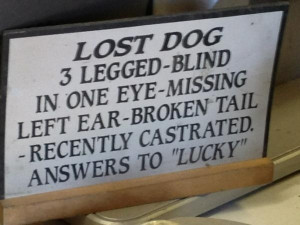 Sign at a lawn mower repair shop. What a terrible name for that dog.