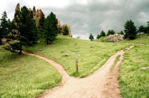 Choose The Right Path Choose the right path