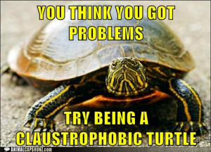 Turtles belong in the sea, not in the sky, anyway. Courtesy: Gawker ...