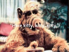 Gordon Shumway: “Here kitty, kitty, kitty.” on Changemakrs.com