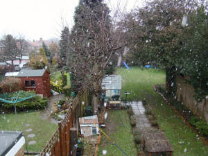 ... and snow but nothing to blanket the ground and the closest we have