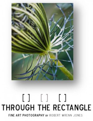 See Rob's art photography at Through The Rectangle