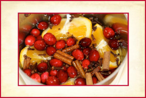 the sweet smell of Christmas potpourri-Oranges, Cranberries, Cinnamon ...
