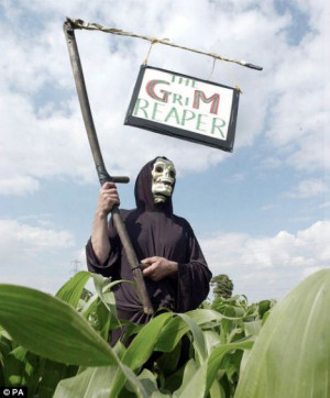 ... demonstrations, genetically modified crops have not been well received