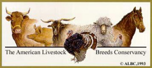 ... Livestock, Breeds Conservative, Animal Conservatory, Livestock Breeds