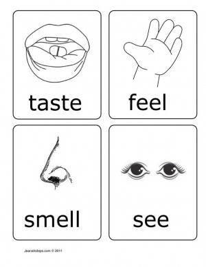 five senses coloring