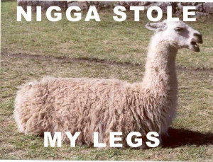 funny+llama+nigga+stole+my+legs.jpg