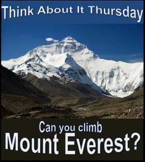 Everest Mountain Flight Cost