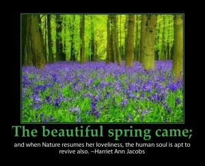 Beautiful spring quote picture